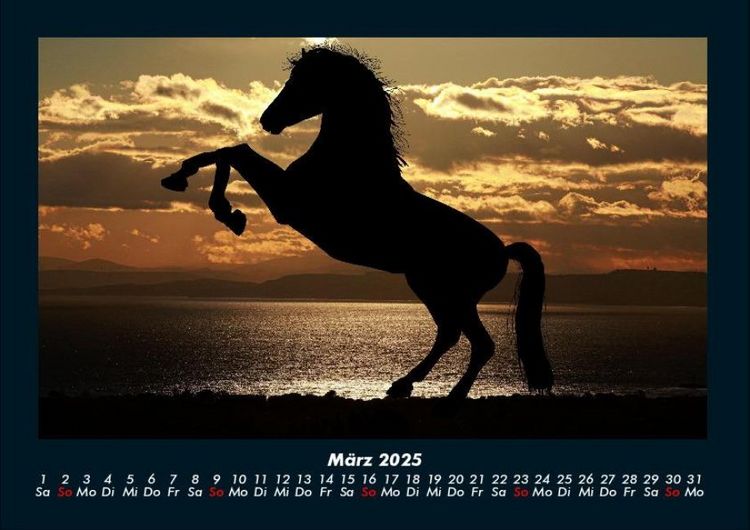 Produktbild: Pferde Kalender 2025 Fotokalender DIN A4