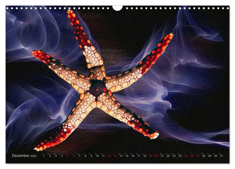 Produktbild: Artwork Unterwasser - Erlebnis Tauchen (Wandkalender 2026 DIN A3 quer), CALVENDO Monatskalender