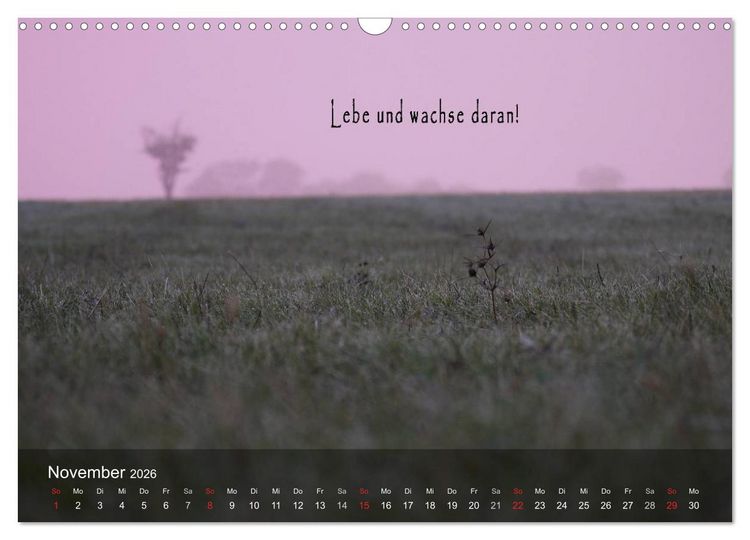 Produktbild: wundersch&ouml;ne Lichtmomente (Wandkalender 2026 DIN A3 quer), CALVENDO Monatskalender