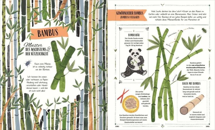 Produktbild: Im Garten