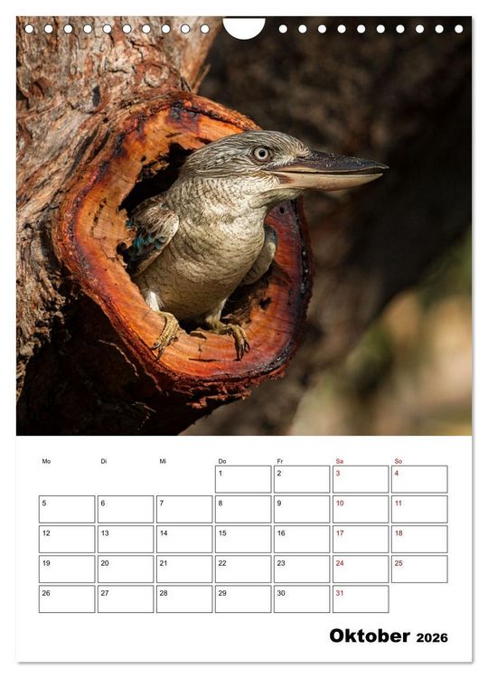Produktbild: Australiens faszinierende Tierwelt (Wandkalender 2026 DIN A4 hoch), CALVENDO Monatskalender