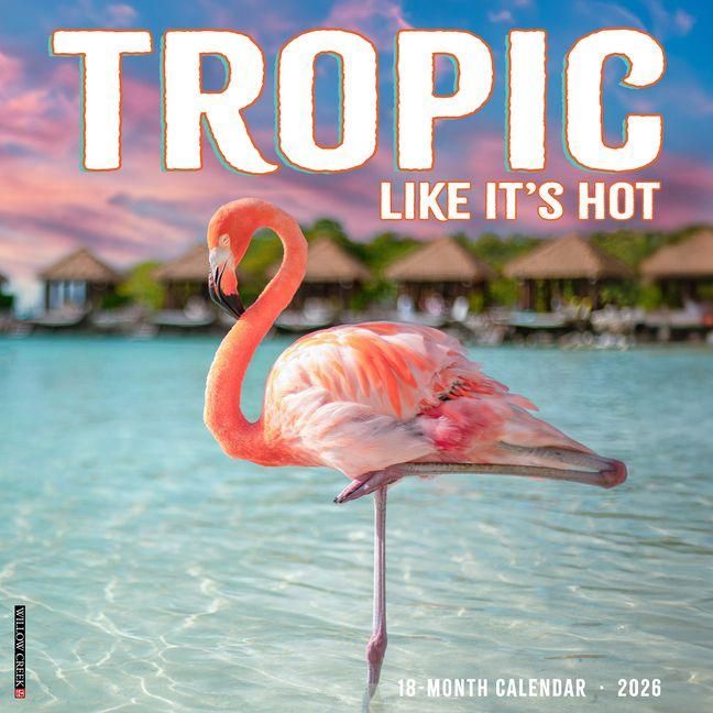 Produktbild: Tropic Like It's Hot 2026 Wall Calendar