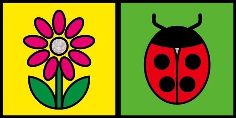 Produktbild: Fokusbuch II: Mein erstes Bilderbuch