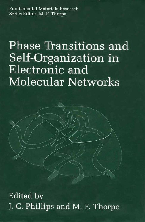 Produktbild: Phase Transitions and Self-Organization in Electronic and Molecular Networks