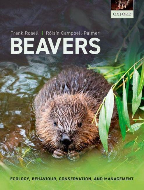Produktbild: Beavers