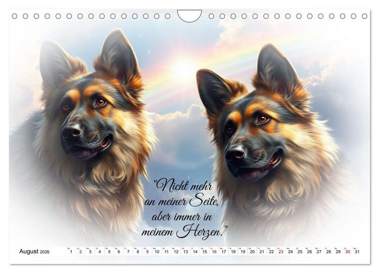 Produktbild: Hunde &uuml;ber der Regenbogenbr&uuml;cke (Wandkalender 2026 DIN A4 quer), CALVENDO Monatskalender