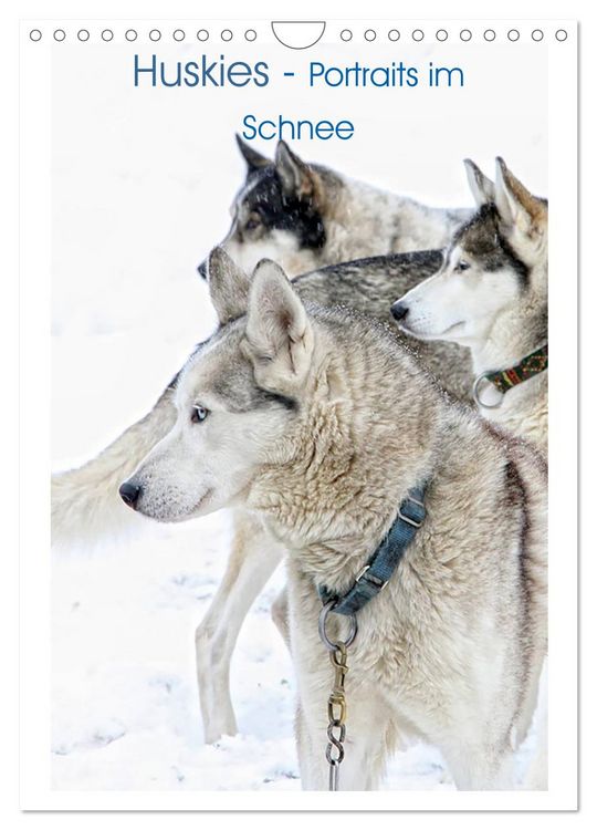 Produktbild: Huskies - Portraits im Schnee (Wandkalender 2026 DIN A4 hoch), CALVENDO Monatskalender