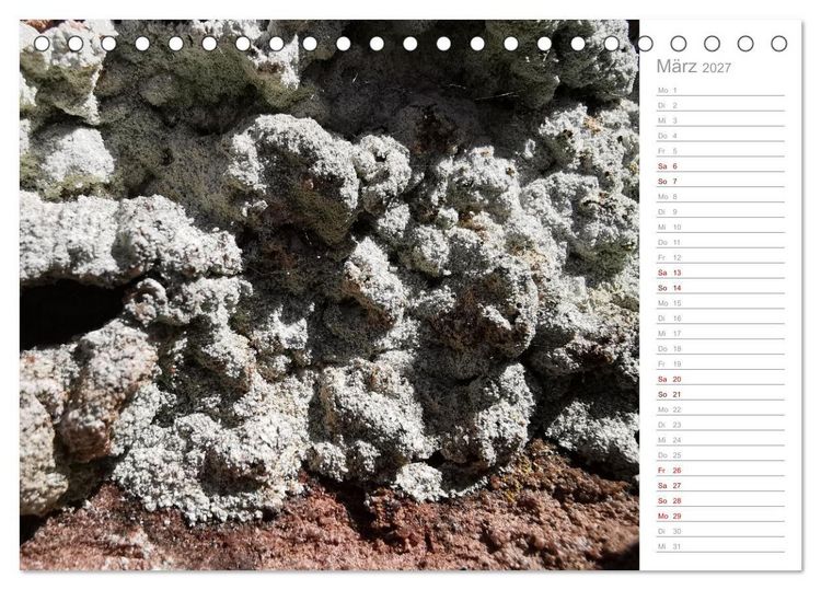Produktbild: Abstrakte Umwelt (Tischkalender 2027 DIN A5 quer), CALVENDO Monatskalender