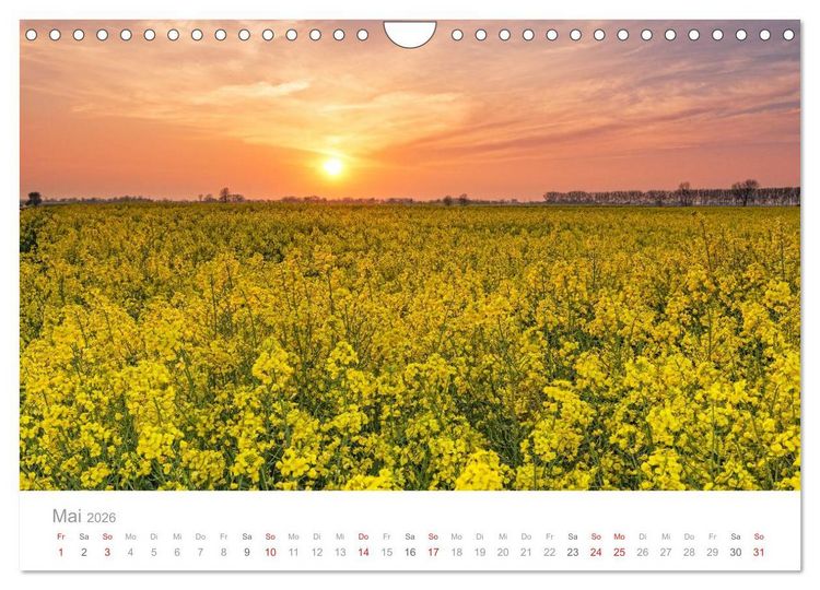 Produktbild: Lichtreise durch Schleswig-Holstein (Wandkalender 2026 DIN A4 quer), CALVENDO Monatskalender