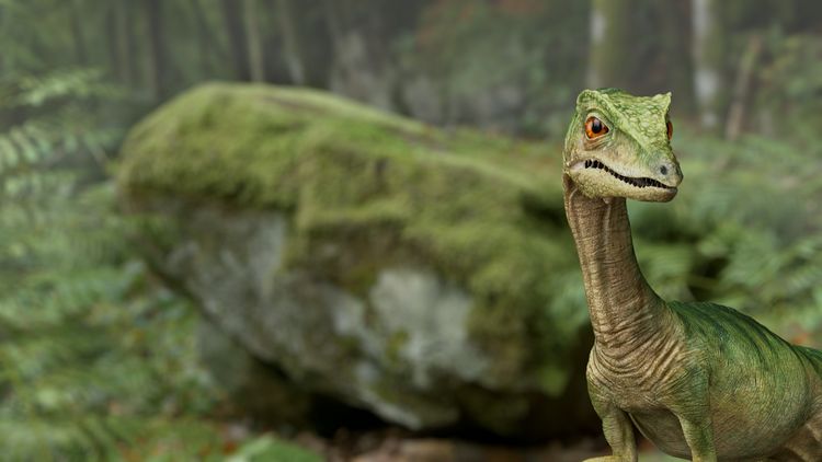 Produktbild: Planet Deutschland - 300 Millionen Jahre