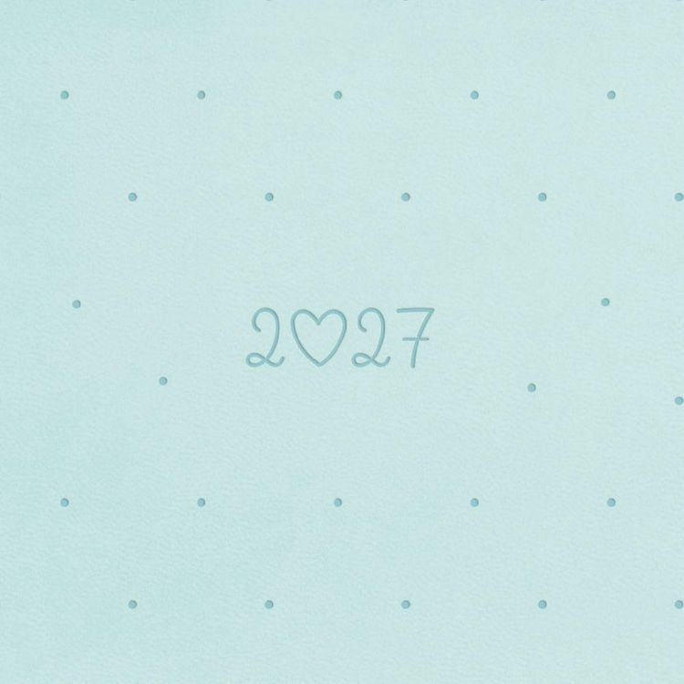 Produktbild: Terminplaner Lederlook 2027 Mint