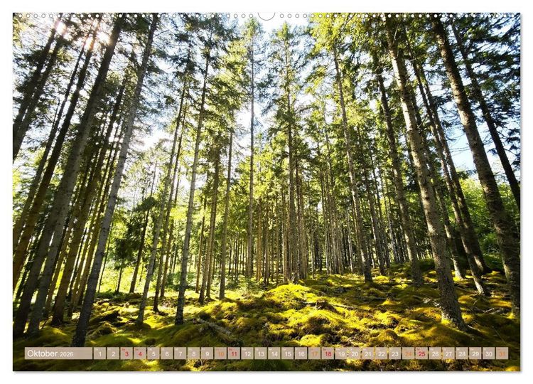 Produktbild: Schweden im Sommer (Wandkalender 2026 DIN A2 quer), CALVENDO Monatskalender