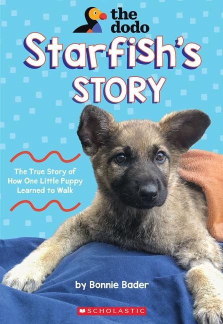 Produktbild: Starfish's Story (the Dodo)