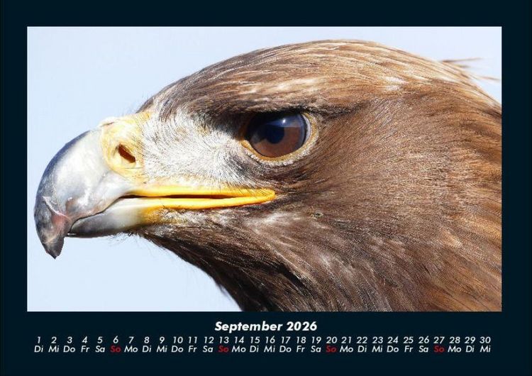 Produktbild: Vogelparadies 2026 Fotokalender DIN A4