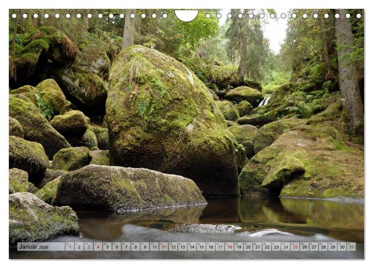 Produktbild: S&uuml;dschwarzwald - Impressionen (Wandkalender 2026 DIN A4 quer), CALVENDO Monatskalender