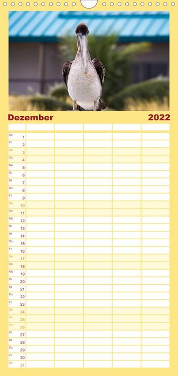 Produktbild: Familienplaner Florida - Sonne, Str&auml;nde und Naturparks (Wandkalender 2022 , 21 cm x 45 cm, hoch)
