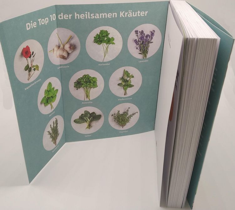 Produktbild: 10 Kr&auml;uter gegen 100 Krankheiten