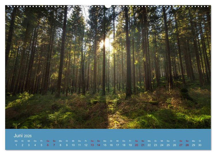 Produktbild: Harz Impressionen (hochwertiger Premium Wandkalender 2026 DIN A2 quer), Kunstdruck in Hochglanz