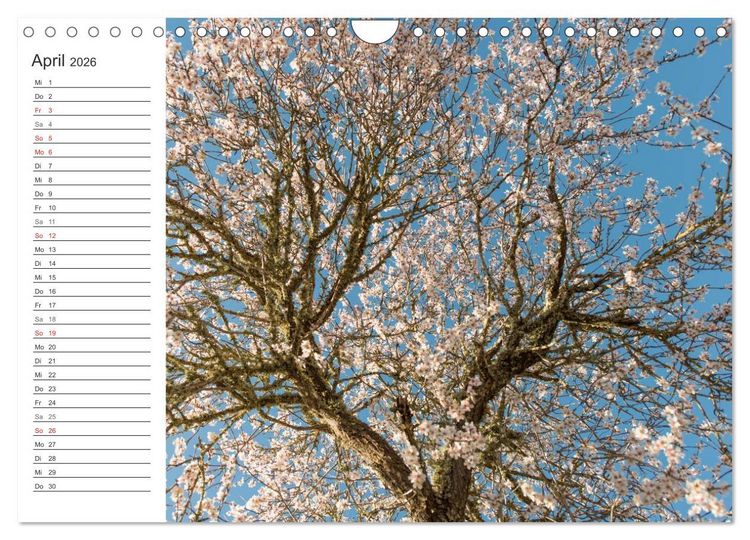 Produktbild: Emotionale Momente: Mandeln (Wandkalender 2026 DIN A4 quer), CALVENDO Monatskalender