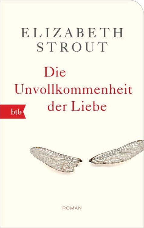 Bild vom Artikel Die Unvollkommenheit der Liebe vom Autor Elizabeth Strout