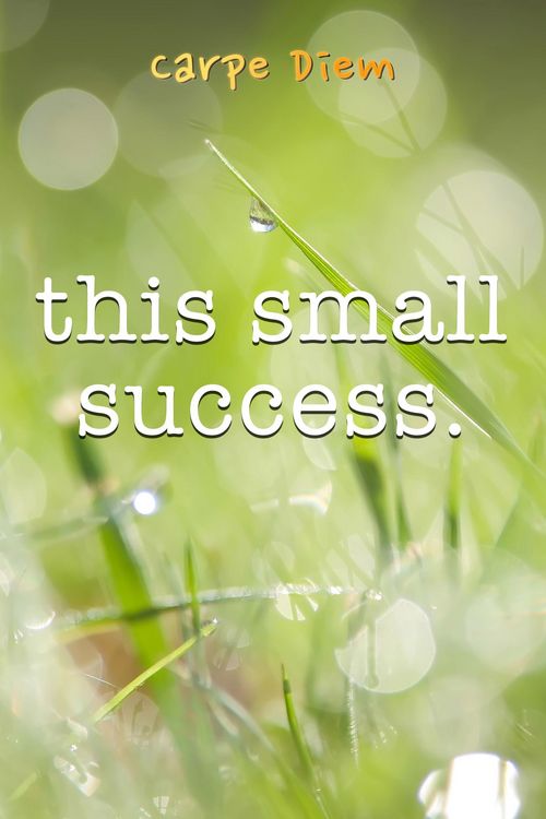 Produktbild: This Small Success