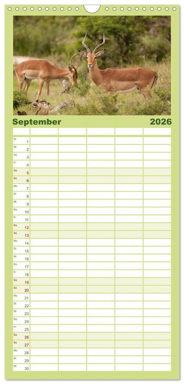 Produktbild: Familienplaner 2026 - Tierische Gl&uuml;cksmomente mit 5 Spalten (Wandkalender, 21 x 45 cm) CALVENDO