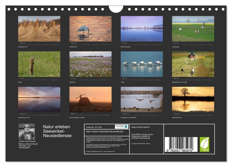 Produktbild: Natur erleben Seewinkel-Neusiedlersee (Wandkalender 2026 DIN A4 quer), CALVENDO Monatskalender
