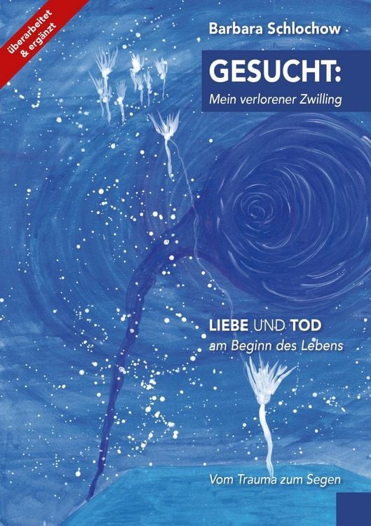 Produktbild: Gesucht: mein verlorener Zwilling