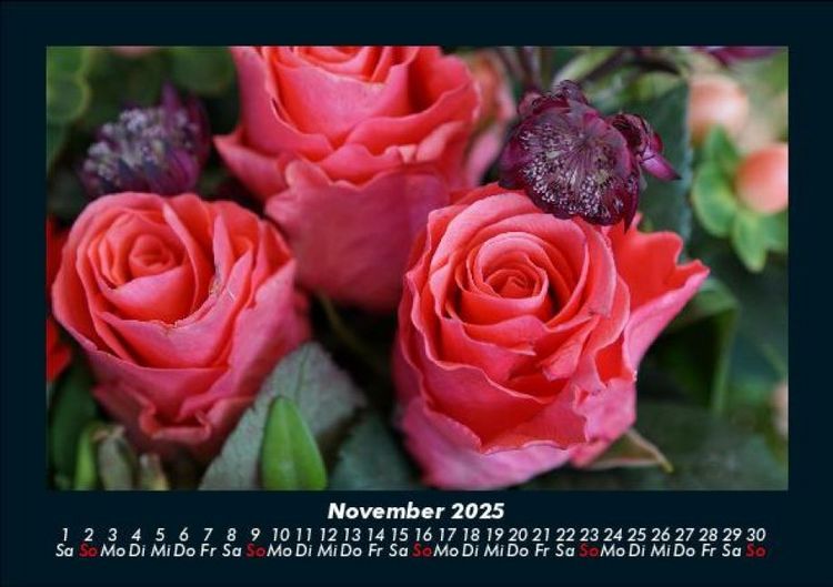 Produktbild: Rosen-Kalender 2025 Fotokalender DIN A5