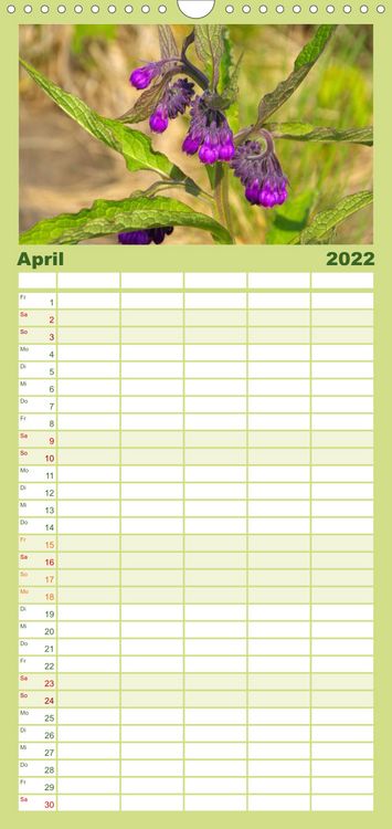 Produktbild: Familienplaner Arzneipflanzen (Wandkalender 2022 , 21 cm x 45 cm, hoch)
