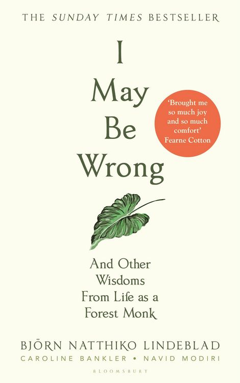 Produktbild: I May Be Wrong