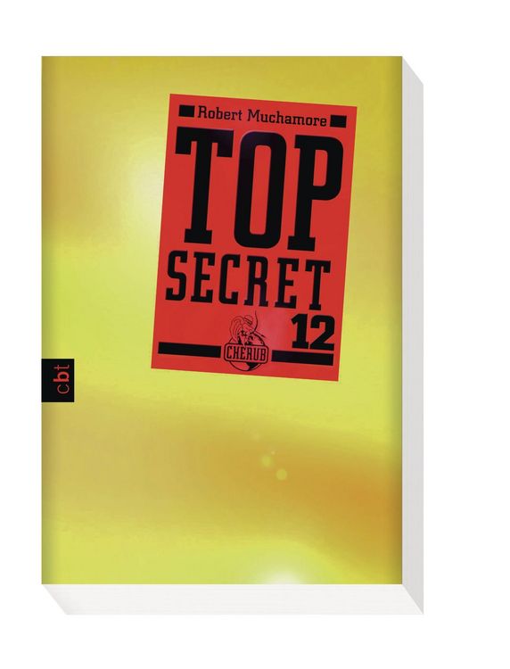 Produktbild: Top Secret 12 - Die Entscheidung