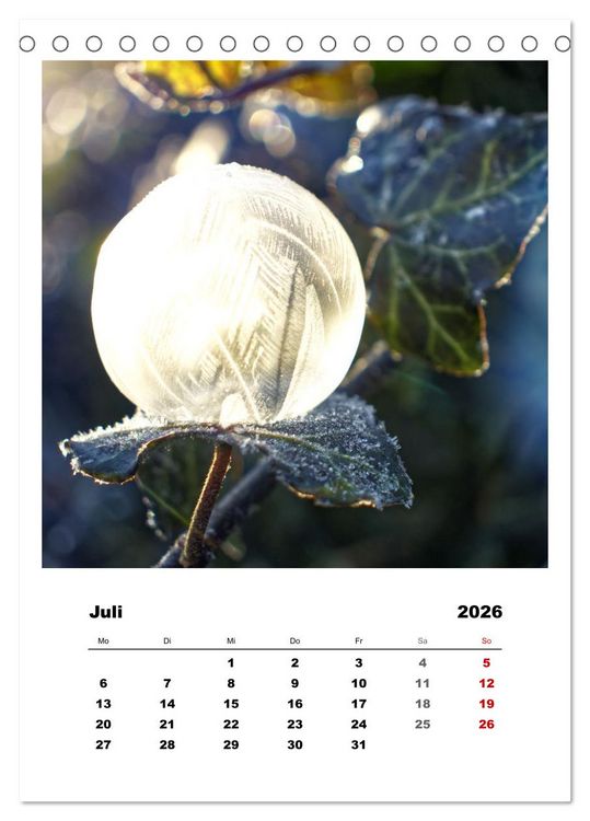 Produktbild: Frostige Seifenblasen (Tischkalender 2026 DIN A5 hoch), CALVENDO Monatskalender