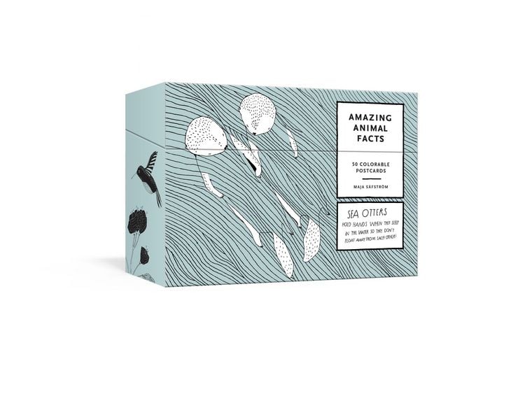 Produktbild: Amazing Animal Facts Postcards