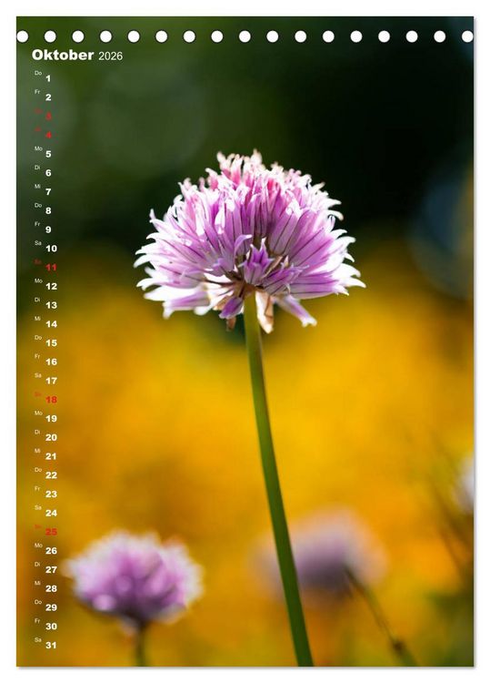 Produktbild: Colors of Nature (Tischkalender 2026 DIN A5 hoch), CALVENDO Monatskalender