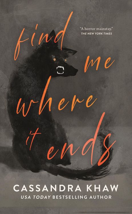 Produktbild: Find Me Where It Ends