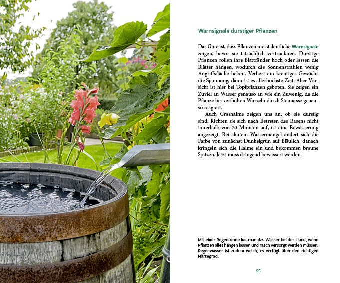 Produktbild: G&auml;rtnern im Wandel