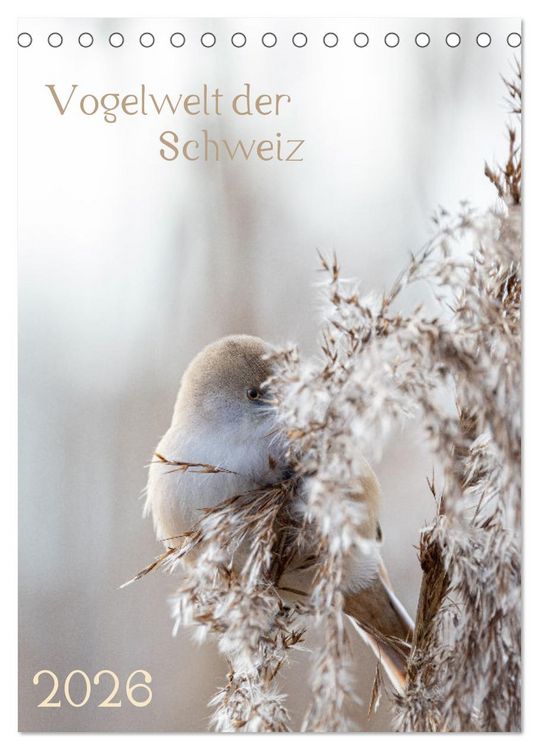 Produktbild: Vogelwelt der Schweiz (Tischkalender 2026 DIN A5 hoch), CALVENDO Monatskalender