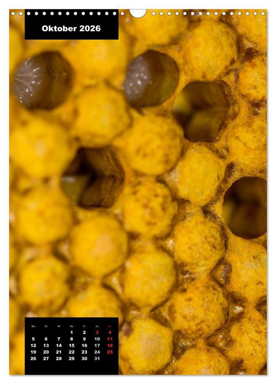 Produktbild: Bienen in ihrem geheimen Reich (Wandkalender 2026 DIN A3 hoch), CALVENDO Monatskalender