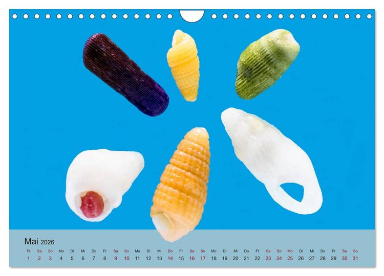 Produktbild: rosaroter korallensand (Wandkalender 2026 DIN A4 quer), CALVENDO Monatskalender
