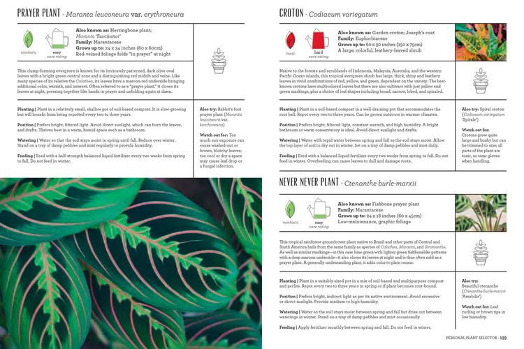 Produktbild: The Modern Gardener