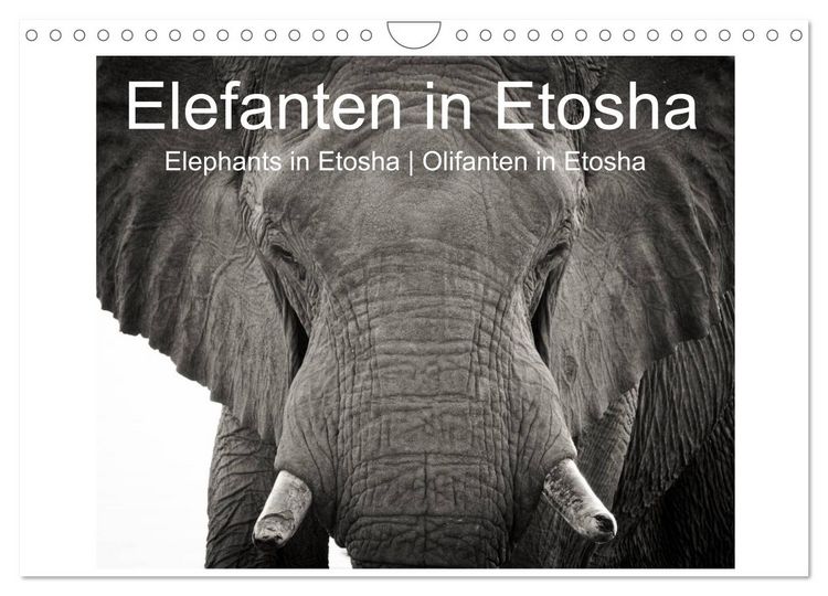 Produktbild: Elefanten in Etosha (Wandkalender 2026 DIN A4 quer), CALVENDO Monatskalender