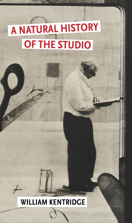 Produktbild: A Natural History of the Studio