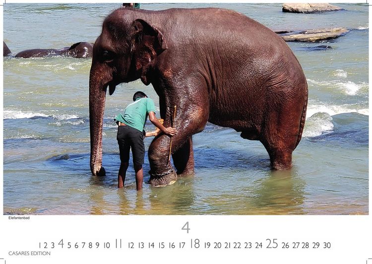 Produktbild: Sri Lanka Kalender 2027 &ndash; Wandkalender | Fotokalender Asien 35x50cm Grosses Format - Hochwertiger f&uuml;r 2027 &ndash; mit atemberaubenden Fotos von Sri Lanka, perfekt f&uuml;r Sri Lanka-Liebhaber
