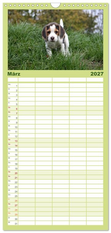Produktbild: Familienplaner 2027 - DER BEAGLEige TERMINPLANER mit 5 Spalten (Wandkalender, 21 x 45 cm) CALVENDO