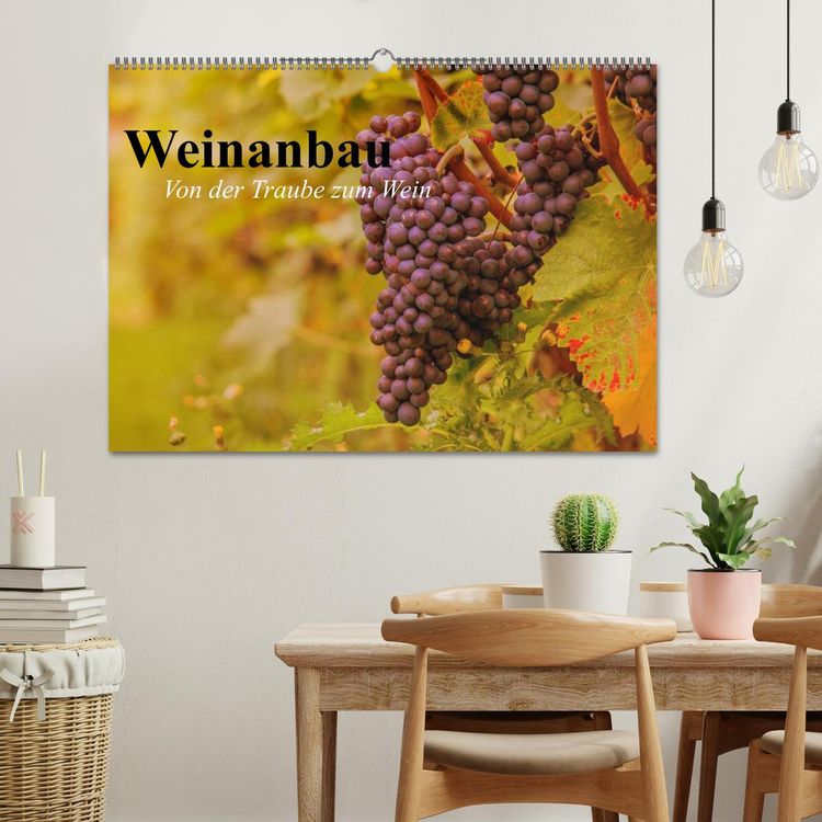 Produktbild: Weinanbau. Von der Traube zum Wein (Wandkalender 2026 DIN A2 quer), CALVENDO Monatskalender