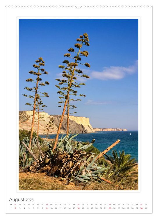 Produktbild: Portugal. Algarve (Wandkalender 2026 DIN A2 hoch), CALVENDO Monatskalender