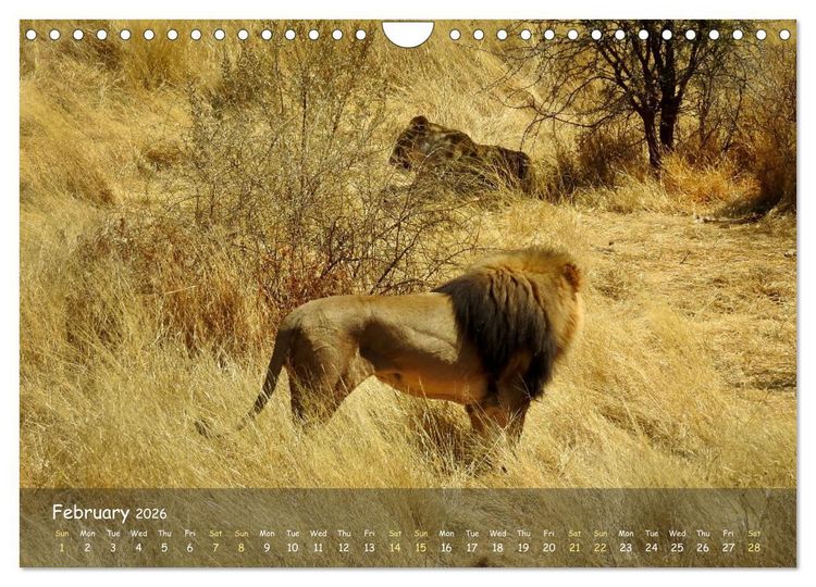 Produktbild: Namibia - African Beauty (Wall Calendar 2026 DIN A4 landscape), CALVENDO 12 Month Wall Calendar