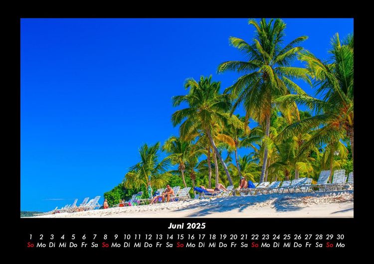 Produktbild: Palmentraum 2025 Fotokalender DIN A3