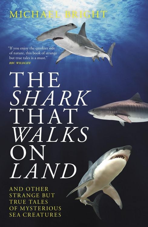 Produktbild: The Shark That Walks on Land